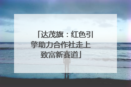 达茂旗：红色引擎助力合作社走上致富新赛道