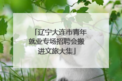 辽宁大连市青年就业专场招聘会搬进文旅大集