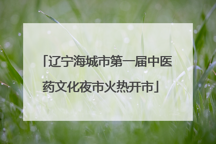 辽宁海城市第一届中医药文化夜市火热开市