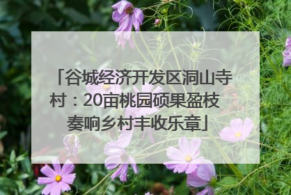 谷城经济开发区洞山寺村：20亩桃园硕果盈枝 奏响乡村丰收乐章