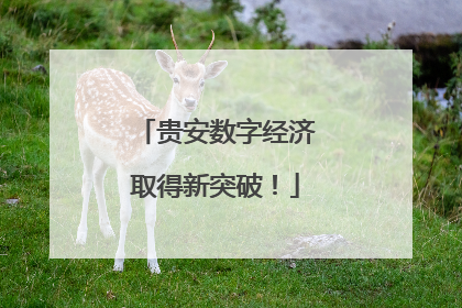 贵安数字经济取得新突破！