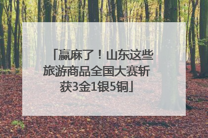 赢麻了！山东这些旅游商品全国大赛斩获3金1银5铜