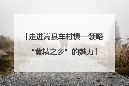 走进嵩县车村镇—领略“黄精之乡”的魅力