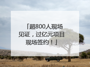 超800人现场见证，过亿元项目现场签约！