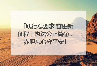 践行总要求 奋进新征程丨执法公正篇③：赤胆忠心守平安