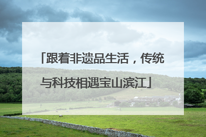 跟着非遗品生活，传统与科技相遇宝山滨江