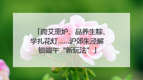 跨艾熏炉、品养生粽、学扎花灯……沪郊朱泾解锁端午“新玩法”