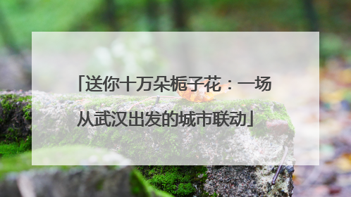 送你十万朵栀子花：一场从武汉出发的城市联动