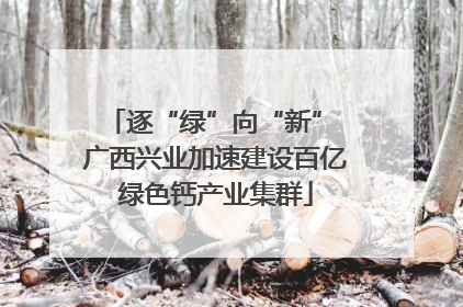 逐“绿”向“新” 广西兴业加速建设百亿绿色钙产业集群