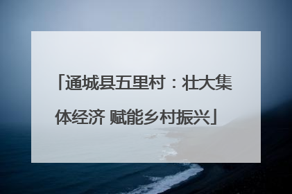 通城县五里村：壮大集体经济 赋能乡村振兴