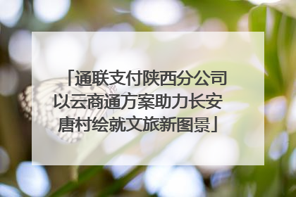 通联支付陕西分公司以云商通方案助力长安唐村绘就文旅新图景