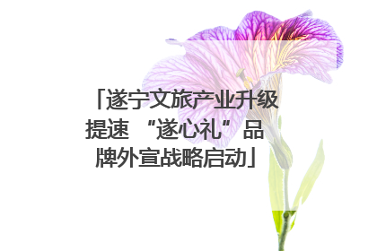 遂宁文旅产业升级提速 “遂心礼”品牌外宣战略启动