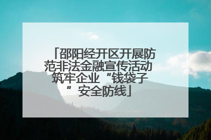 邵阳经开区开展防范非法金融宣传活动 筑牢企业“钱袋子”安全防线