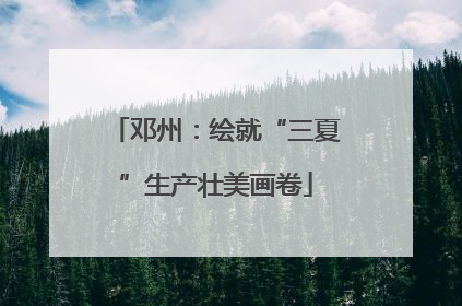 邓州：绘就“三夏”生产壮美画卷