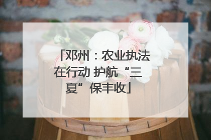 邓州：农业执法在行动 护航“三夏”保丰收