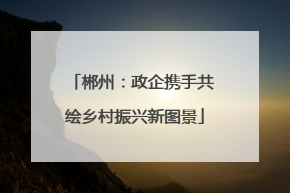 郴州：政企携手共绘乡村振兴新图景