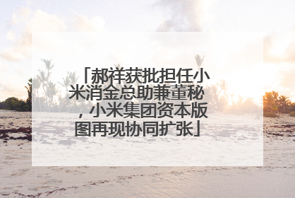 郝祥获批担任小米消金总助兼董秘，小米集团资本版图再现协同扩张