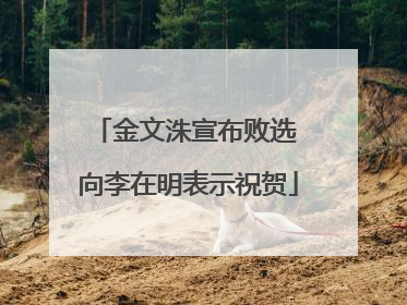 金文洙宣布败选 向李在明表示祝贺