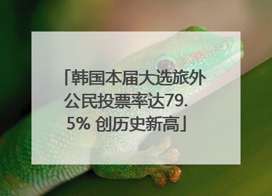 韩国本届大选旅外公民投票率达79.5% 创历史新高