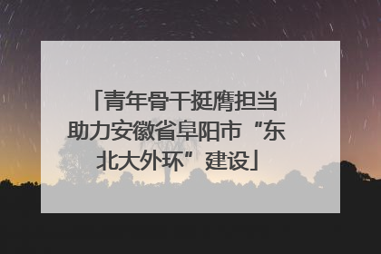 青年骨干挺膺担当 助力安徽省阜阳市“东北大外环”建设