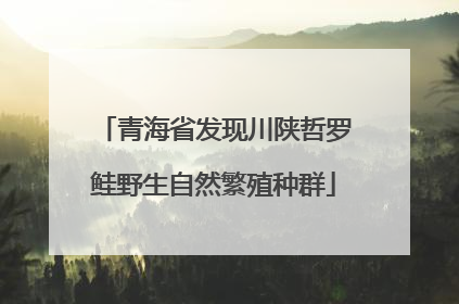 青海省发现川陕哲罗鲑野生自然繁殖种群