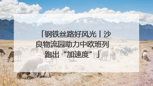 钢铁丝路好风光丨沙良物流园助力中欧班列跑出“加速度”