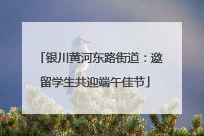 银川黄河东路街道：邀留学生共迎端午佳节