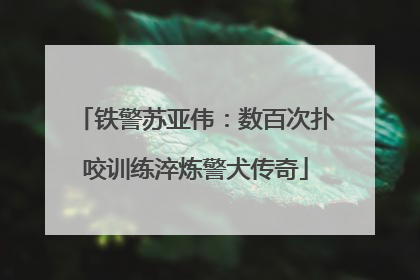 铁警苏亚伟：数百次扑咬训练淬炼警犬传奇