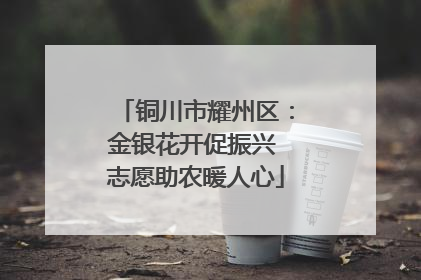 铜川市耀州区：金银花开促振兴 志愿助农暖人心