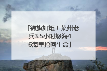 锦旗如炬！莱州老兵3.5小时怒海46海里抢回生命