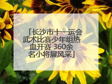 长沙市十一运会武术比赛少年组热血开赛 360余名小将展风采