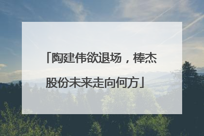 陶建伟欲退场，棒杰股份未来走向何方
