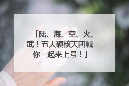陆、海、空、火、武！五大硬核天团喊你一起来上号！