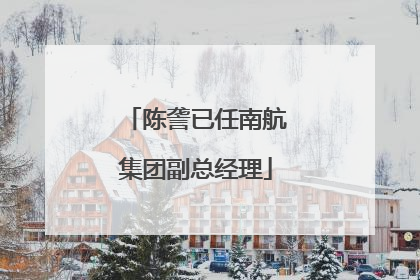 陈詟已任南航集团副总经理