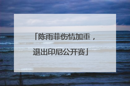 陈雨菲伤情加重，退出印尼公开赛