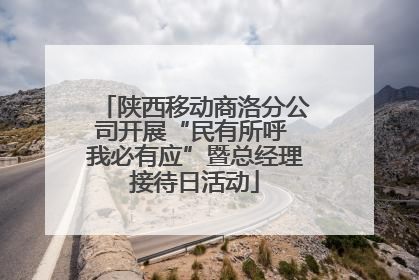 陕西移动商洛分公司开展“民有所呼 我必有应”暨总经理接待日活动