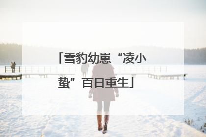 雪豹幼崽“凌小蛰”百日重生