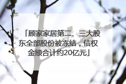 顾家家居第二、三大股东全部股份被冻结，债权金额合计约20亿元