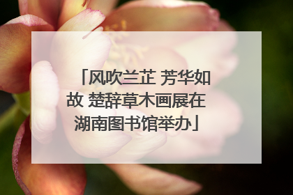 风吹兰芷 芳华如故 楚辞草木画展在湖南图书馆举办