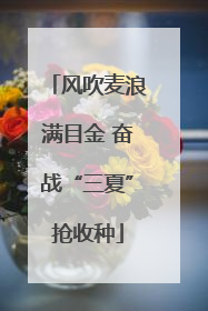 风吹麦浪满目金 奋战“三夏”抢收种