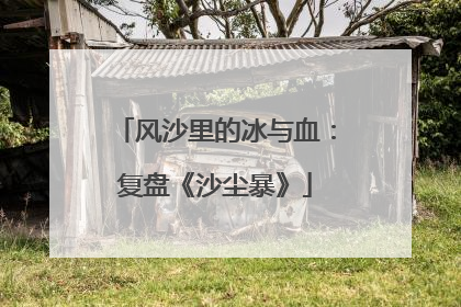 风沙里的冰与血：复盘《沙尘暴》