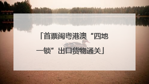 首票闽粤港澳“四地一锁”出口货物通关