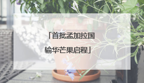 首批孟加拉国输华芒果启程