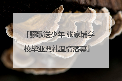 骊歌送少年 张家铺学校毕业典礼温情落幕