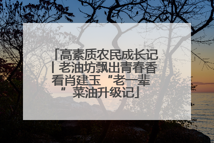高素质农民成长记丨老油坊飘出青春香 看肖建玉“老一辈”菜油升级记