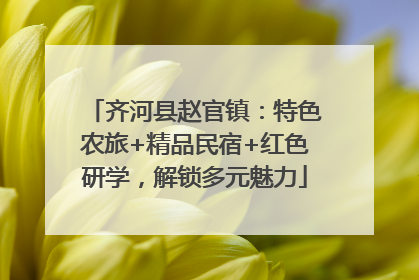 齐河县赵官镇：特色农旅+精品民宿+红色研学，解锁多元魅力