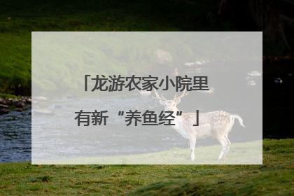 龙游农家小院里有新“养鱼经”