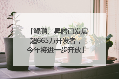 鲲鹏、昇腾已发展超665万开发者，今年将进一步开放