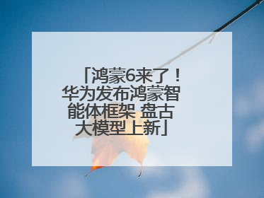 鸿蒙6来了！华为发布鸿蒙智能体框架 盘古大模型上新