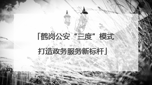 鹤岗公安“三度”模式 打造政务服务新标杆